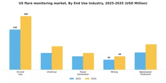 US Flare Monitoring Market Segment Image 2