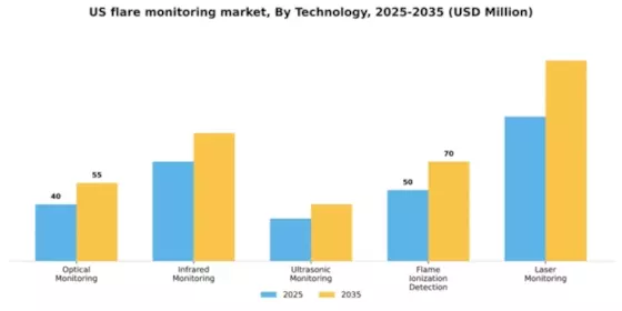 US Flare Monitoring Market Segment Image 3