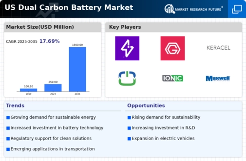 US Dual Carbon Battery Market Infographic