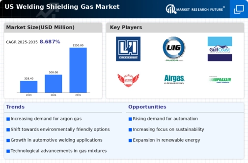 US Welding shielding gas Market Infographic