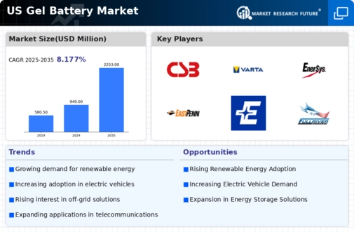 US Gel Battery Market Infographic