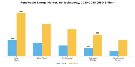 Renewable Energy Market Segment Image 2