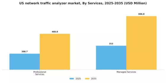 US Network Traffic Analyzer Market Segment Image 3