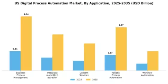 US Digital Process Automation Market Segment Image 0
