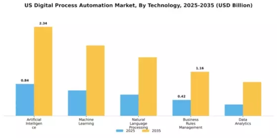US Digital Process Automation Market Segment Image 4