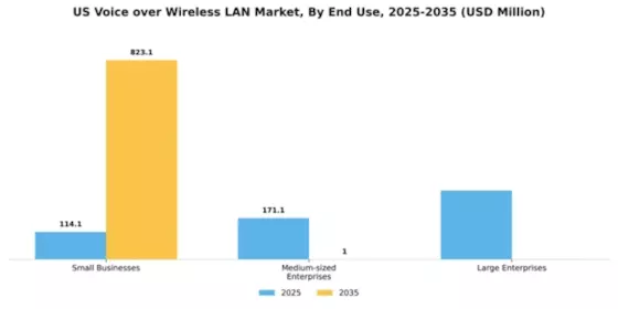 US Voice Over Wireless LAN Market Segment Image 2