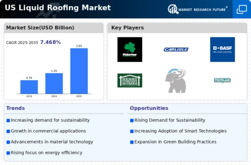 US Liquid Roofing Market Infographic