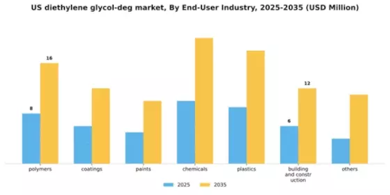 US Diethylene Glycol (DEG) Market Segment Image 1