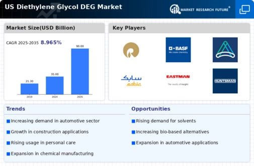 US Diethylene Glycol (DEG) Market Infographic