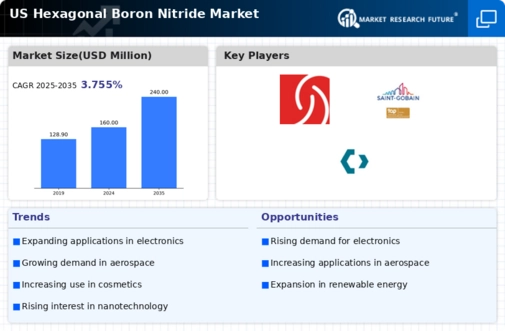 US Hexagonal Boron Nitride Market Infographic