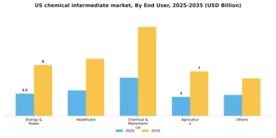 US Chemical Intermediate Market Segment Image 0