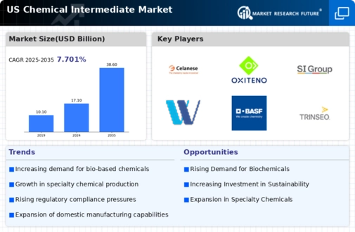 US Chemical Intermediate Market Infographic