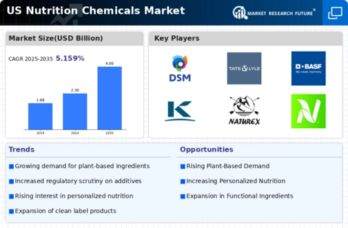 US Nutrition Chemicals Market Infographic
