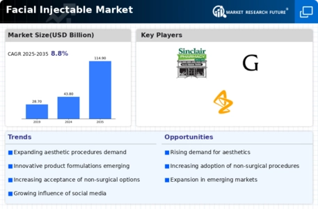 Facial Injectable Market Infographic