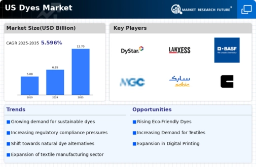 US Paper Dyes Market Infographic