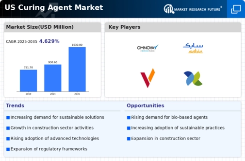 US Epoxy Curing Agent Market Infographic