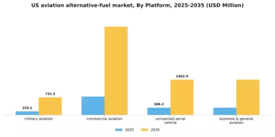 US Aviation Alternative Fuel Market Segment Image 2