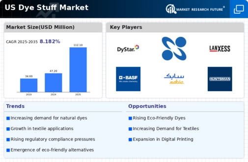 US Dye Stuff Market Infographic