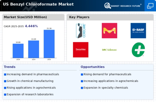 US Benzyl Chloroformate Market Infographic