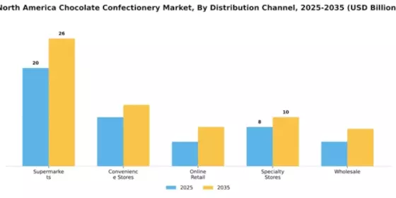 North American Chocolate Confectionery Market Segment Image 1