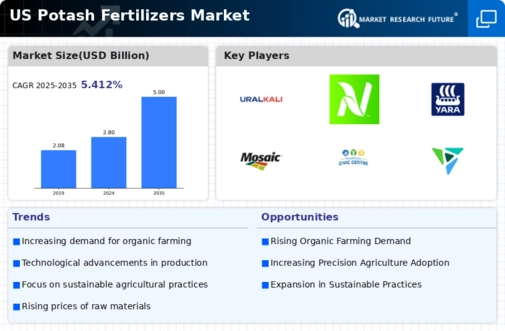 US Potash Fertilizers Market Infographic