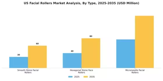 US Facial Rollers Market Segment Image 1