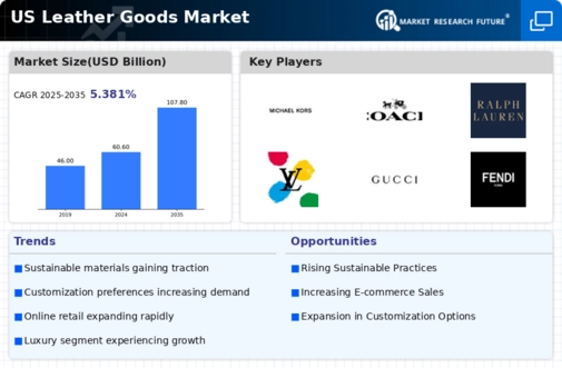 US Leather Goods Market Infographic