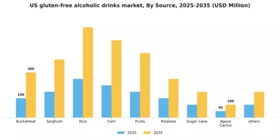 US Gluten Free Alcoholic Drinks Market Segment Image 0