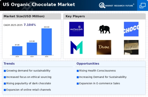 US Organic Chocolate Market Infographic