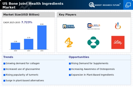 US Bone Joint Health Ingredients Market Infographic