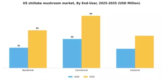 US Shiitake Mushroom Market Segment Image 1