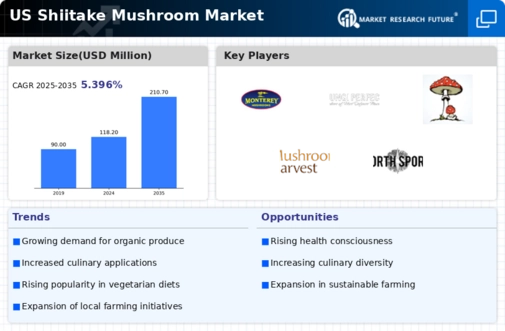 US Shiitake Mushroom Market Infographic
