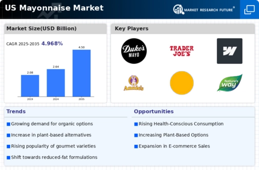 US Mayonnaise Market Infographic