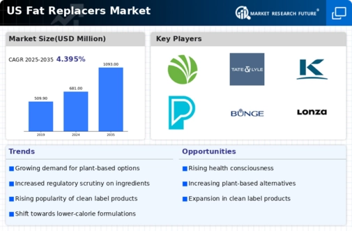 US Fat Replacers Market Infographic