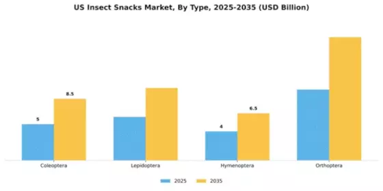 US Insect Snacks Market Segment Image 2