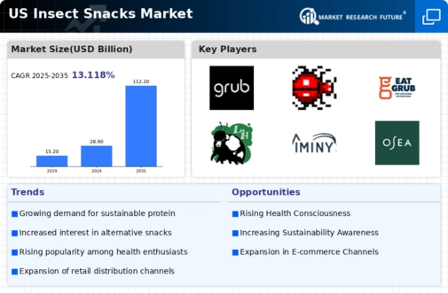 US Insect Snacks Market Infographic