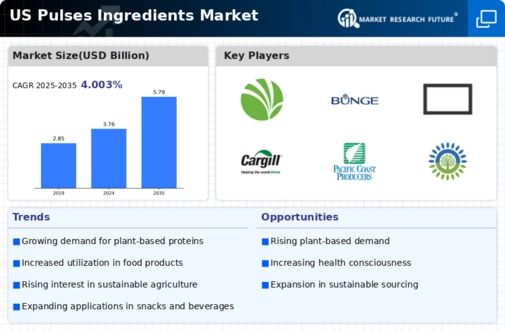 US Pulses Ingredients Market Infographic