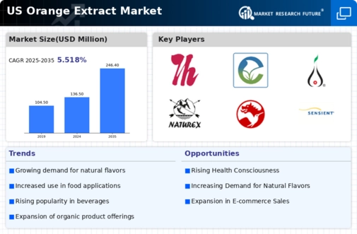 US Orange Extract Market Infographic