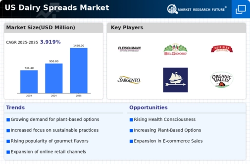 US Dairy Spreads Market Infographic