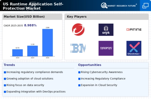 US Runtime Application Self Protection Market Infographic