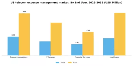 US Telecom Expense Management Market Segment Image 1