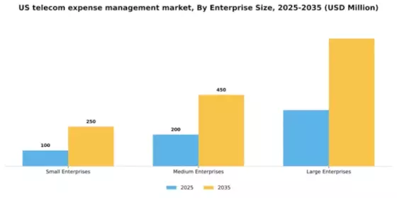 US Telecom Expense Management Market Segment Image 2