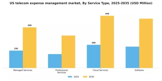 US Telecom Expense Management Market Segment Image 3