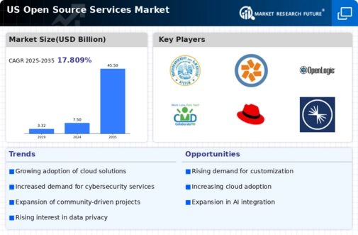 US Open Source Services Market Infographic