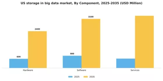 US Storage in Big Data Market Segment Image 0