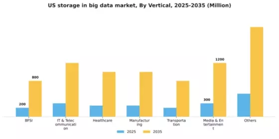 US Storage in Big Data Market Segment Image 1