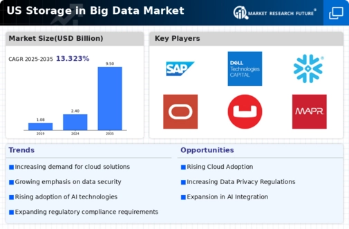 US Storage in Big Data Market Infographic