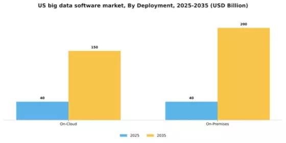 US Big Data Software Market Segment Image 1