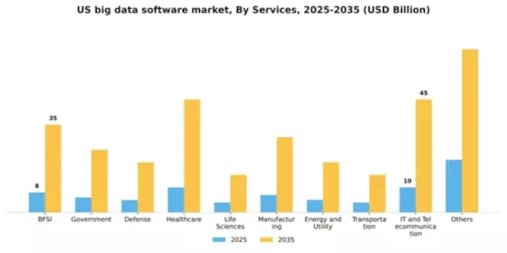 US Big Data Software Market Segment Image 2