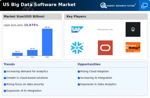 US Big Data Software Market Infographic